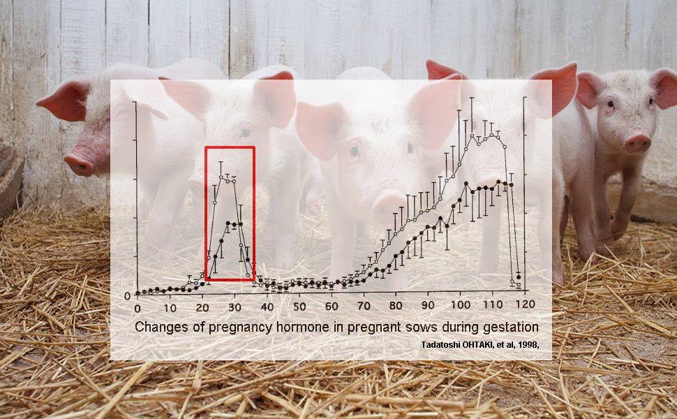 10 Pcs Pig Early Pregnancy Test Paper Sow Morning Urine Test For